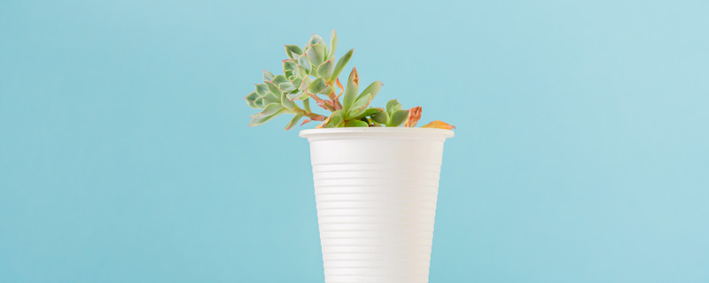 琉璃殿的寓意 琉璃的象征