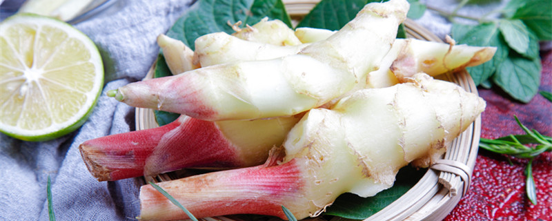 姜叶尖上黄了干枯怎么办 姜叶枯黄是怎么回事