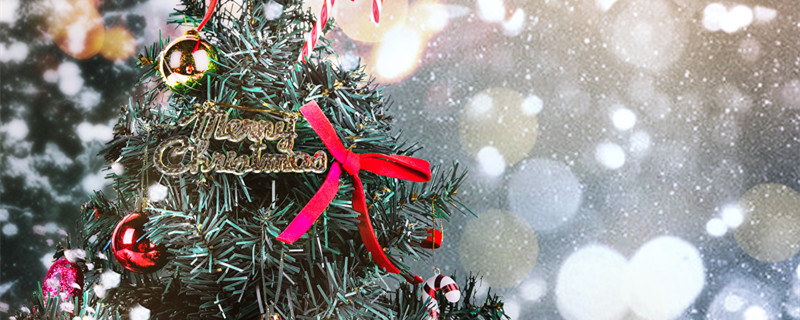 圣诞树是什么树 圣诞树是什么树图片