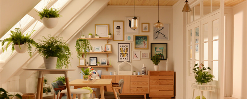 金钱树叶子黄了要剪吗 金钱树的枯黄枝叶可以剪掉吗