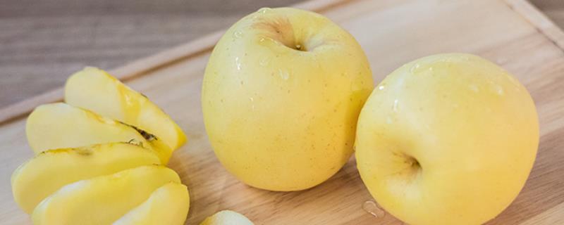 维纳斯黄金苹果怎样种植，附其特性 维纳斯黄金苹果苗介绍