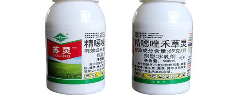 精恶唑禾草灵的水稻用量 精喹禾灵除草剂能打水稻吗