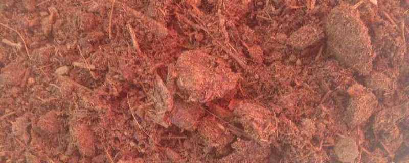 羊粪发酵需要多长时间 羊粪发酵需要多长时间