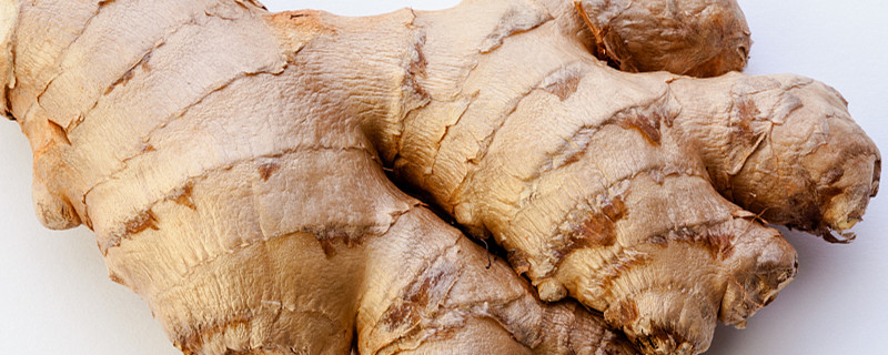 洋姜可以切开种植吗 洋姜可以切开种植吗