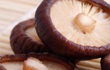 冬菇和香菇的区别 冬菇和香菇的区别?
