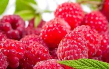 红树莓对女人的好处（红树莓的功效与作用及食用方法）