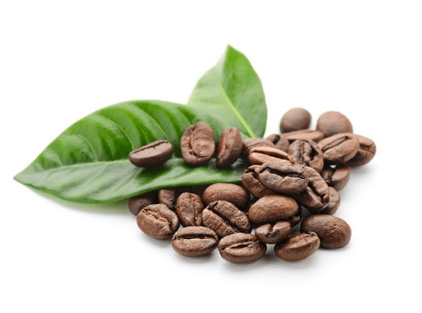 咖啡豆怎么种植，咖啡豆病害防治（咖啡豆怎么种植,咖啡豆病害防治视频）