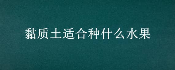 黏质土适合种什么水果（粘土适合种什么水果）