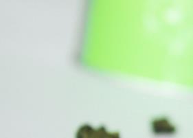 冻顶茶 冻顶茶王属于什么茶