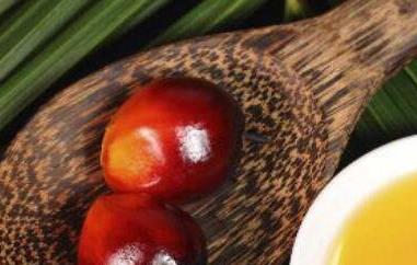 食用棕桐油的危害都有哪些 哪些人不能吃棕榈油