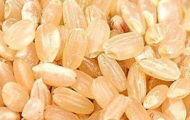 糙米的营养价值及功效 三色糙米的营养价值及功效