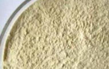 白芸豆粉的功效与作用 白芸豆粉的功效与作用点