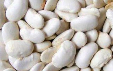 白芸豆的功效与作用 白芸豆的功效与作用减肥