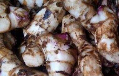 姜芋的功效和作用（芋头的作用与功效）