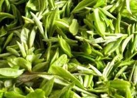 喝古丈毛尖的功效和好处 古丈毛尖味道