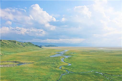 2021在农村办厂有什么好项目