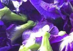 蝶豆花的功效与作用 蝶豆花的功效与作用及食用方法