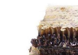 老巢蜜的功效与作用（老巢蜜和新巢蜜的功效与作用）