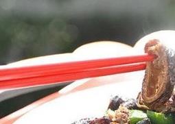 怎么去猪大肠的腥味（怎么去猪大肠的腥味儿）