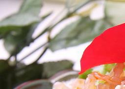 海蜇怎么去咸味（海蜇怎么去咸味最快）