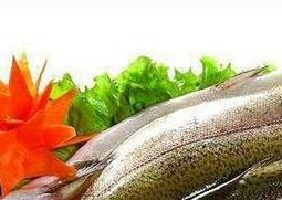 鳟鱼的营养价值 鳟鱼的营养价值及功效