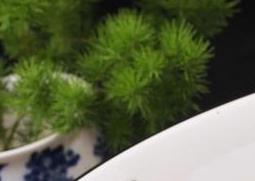 烧酸菜鱼用什么鱼（烧酸菜鱼用什么鱼没刺）