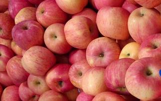 糖尿病是否能吃苹果 糖尿病可以吃苹果