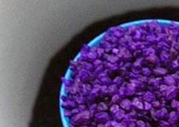小紫药对人体的危害 小紫药对人体的危害有多大