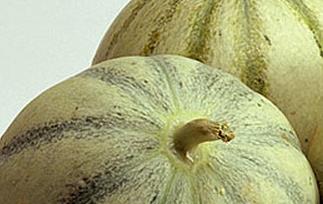 白兰瓜的功效与作用 白兰瓜的功效与作用及营养价值