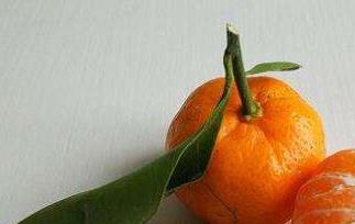 芦柑和橘子的区别 芦柑和橘子的区别与功效