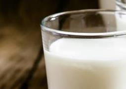 羊奶的功效与作用 羊奶的功效与作用及食用方法