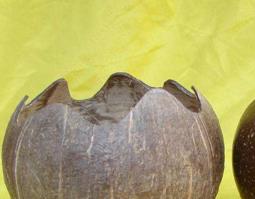 椰壳的功效与作用 椰壳的功效与作用及禁忌
