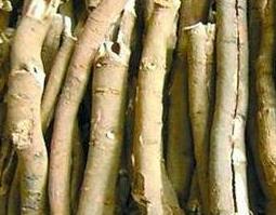 牡丹皮的功效与作用及禁忌 中草药牡丹皮的功效与作用及禁忌