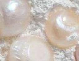珍珠粉的功效与作用 珍珠粉的功效与作用及禁忌6种