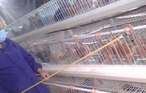 鸡舍 常用 消毒方法