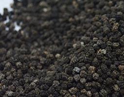 蚕沙的功效与作用 蚕沙的功效与作用及用量