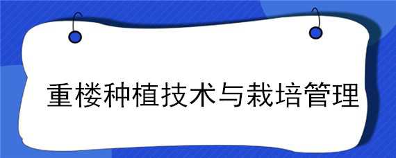 重楼种植技术与栽培管理 重楼种植技术与栽培管理视频施肥