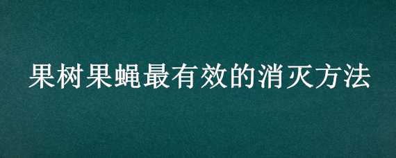 果树果蝇最有效的消灭方法（果树果蝇怎么消灭）