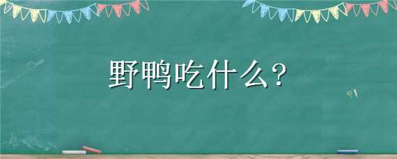 野鸭吃什么 野鸭吃什么食物后醉倒