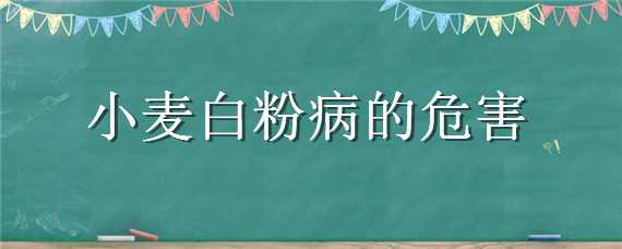 小麦白粉病的危害