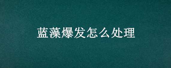 蓝藻爆发怎么处理（如何防治蓝藻爆发）