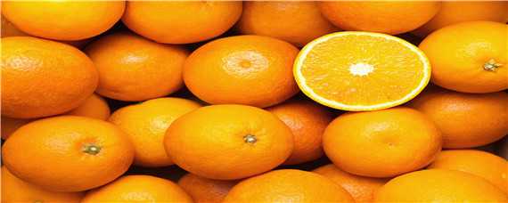 橙子几年结果 橙子啥时候结果