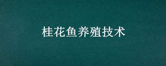 桂花鱼养殖技术