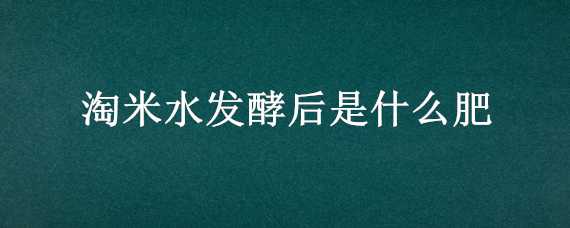 淘米水发酵后是什么肥（淘米水发酵后是什么肥可以浇菜吗）