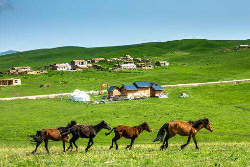 新疆家庭农场注册条件有哪些 新疆家庭农场注册条件有哪些政策