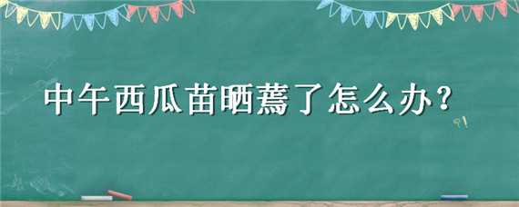 中午西瓜苗晒蔫了怎么办