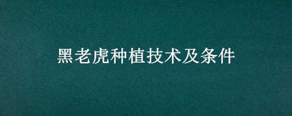 黑老虎种植技术及条件（黑老虎种植技术及条件视频）