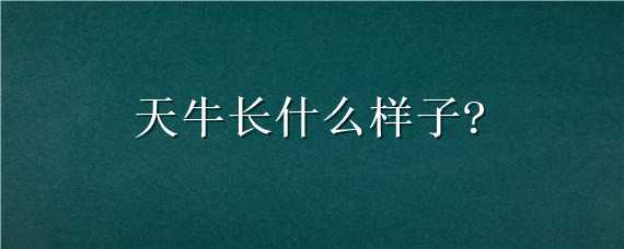 天牛长什么样子?（天牛长什么样子它吃什么）