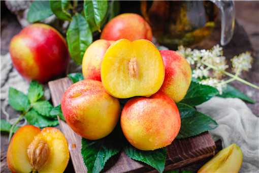 油桃是热性还是凉性水果（油桃是热性还是凉性水果来月经能吃吗）