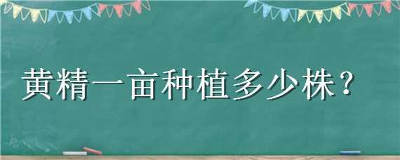 黄精一亩种植多少株 黄精一亩种植多少株子